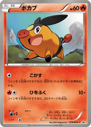 Black & White Promos 019 Tepig