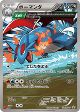 XY Promos 124 Salamence