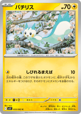 Mega Symphonia 033 Pachirisu
