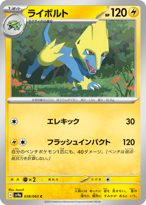Hot Air Arena 038 Manectric