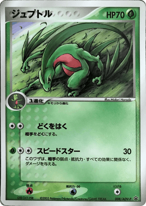 ADV Promos 008 Grovyle