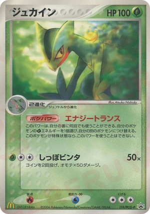PCG Promos 119 Sceptile