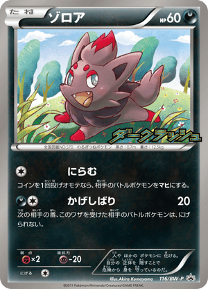 Black & White Promos 116 Zorua