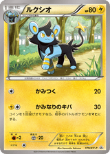 XY Promos 179 Luxio