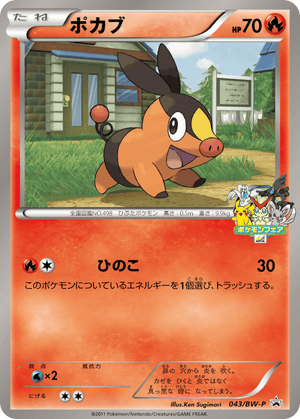 Black & White Promos 043 Tepig