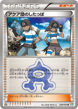 Magma Gang VS Aqua Gang: Double Crisis 028 Team Aqua Grunt