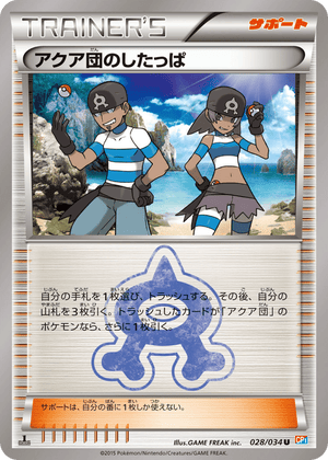 Magma Gang VS Aqua Gang: Double Crisis 028 Team Aqua Grunt