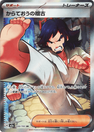MEGA Dream ex 220 Black Belt's Training