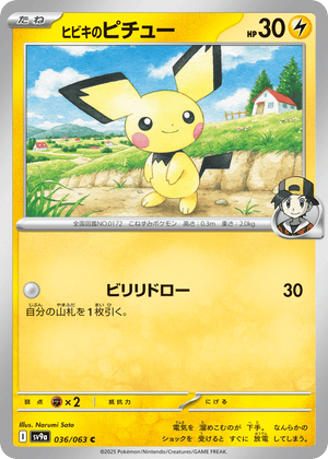 Hot Air Arena 036 Ethan's Pichu