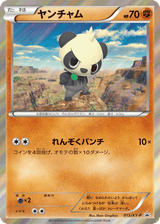 XY Promos 015 Pancham