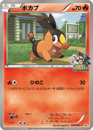 Black & White Promos 079 Tepig
