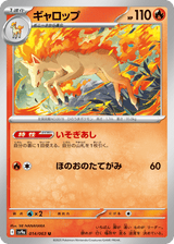 Hot Air Arena 014 Rapidash