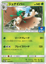 Sun & Moon Promos 028 Decidueye