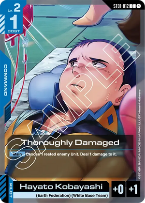 Descriptive image text