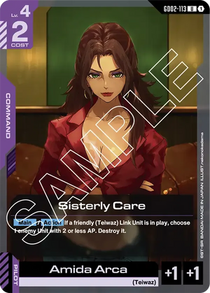 Descriptive image text